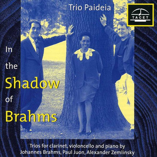 Brahms / Zemlinsky / Juon / Trio Paideia: Im Schatten Von Brahms 1