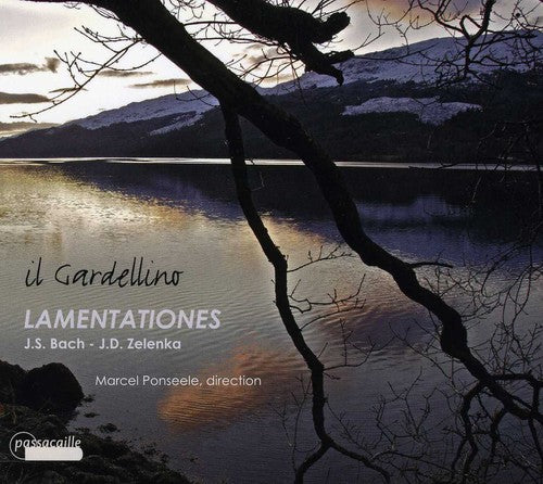 Zelenka / Bach, J.S. / Gardellino: Lamentationes