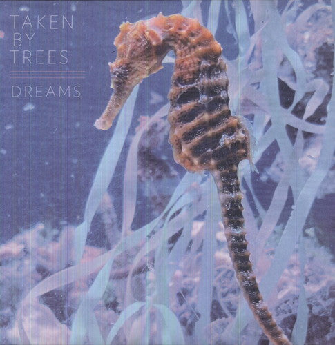 Taken by Trees: Dreams