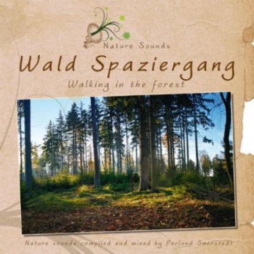 Saerstedt, Perlund: Wald Spaziergang