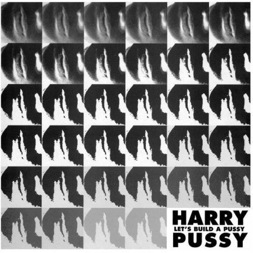 Harry Pussy: Let's Build a Pussy