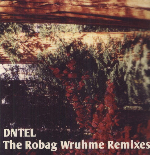 Dntel: The Robag Wruhme Remixes
