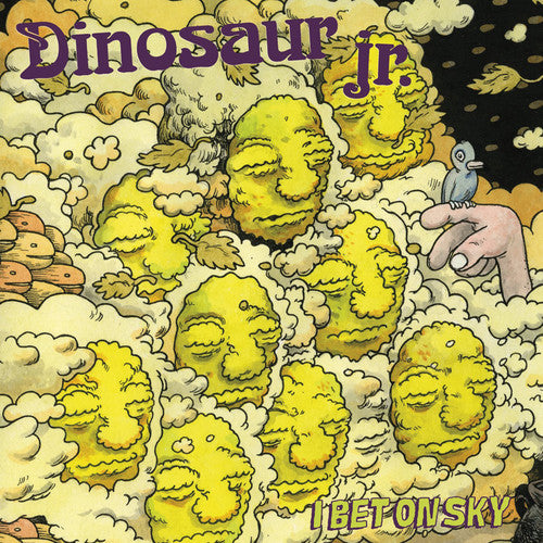 Dinosaur Jr: I Bet on Sky