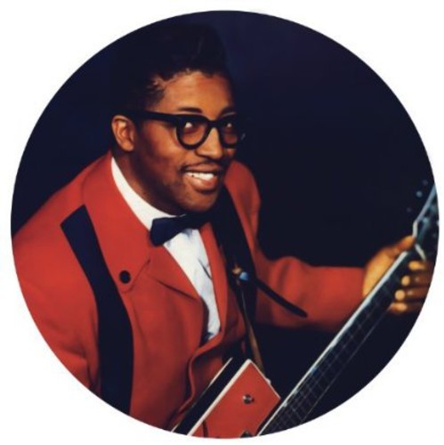 Diddley, Bo: I'm a Man - Live 84