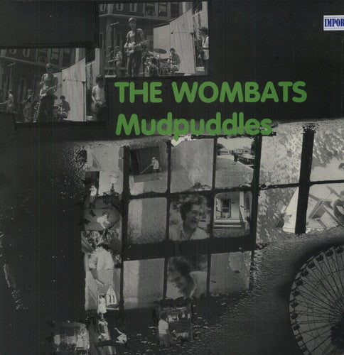 Wombats: Mudpuddles