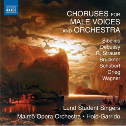 Sibelius / Stenbaeck / Lund Student Singers: Choruses for Male Voices & Orhestra