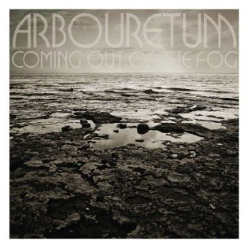 Arbouretum: Coming Out of the Fog