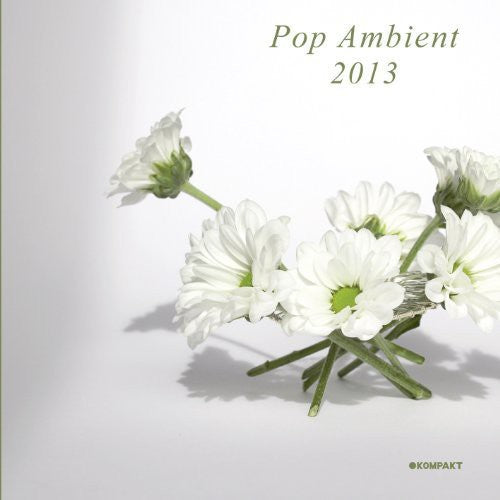 Pop Ambient 2013 / Various: Pop Ambient 2013