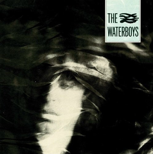 Waterboys: Waterboys