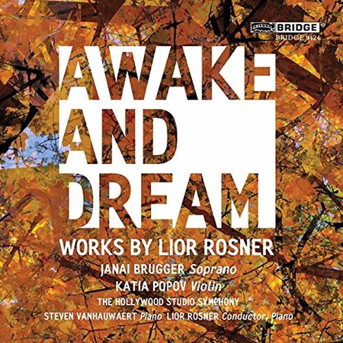 Rosner / Brugger / Rosner: Awake & Dream