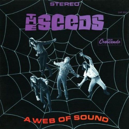 Seeds: Web of Sound