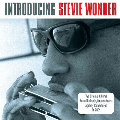 Wonder, Stevie: Introducing