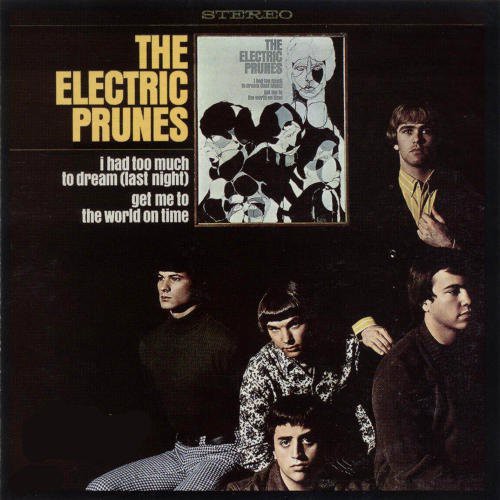 Electric Prunes: I Had Too Much To Dream