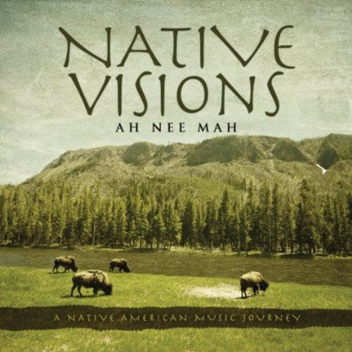 Ah Nee Mah: Native Visions: A Native American Music Journey