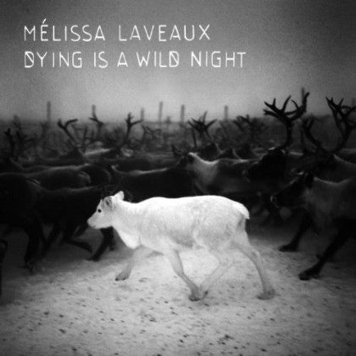 Laveaux, Melissa: Dying Is a Wild Night