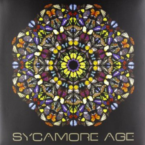 Sycamore Age: Sycamore Age