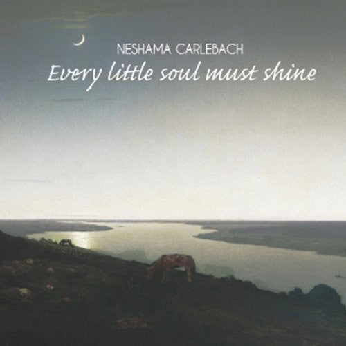 Carlebach, Neshama: Every Little Soul Must Shine