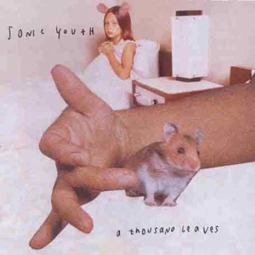 Sonic Youth: Thousand Leaves