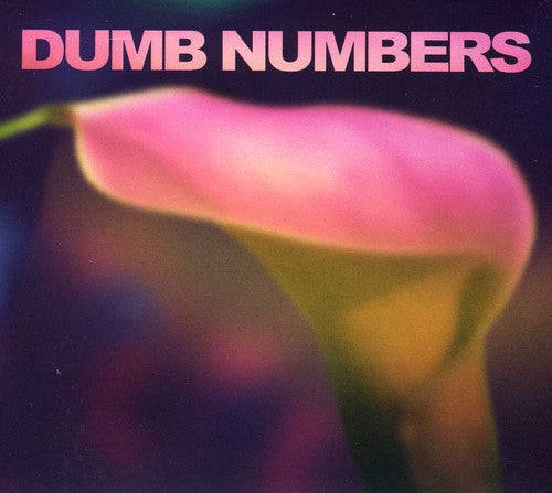 Dumb Numbers: Dumb Numbers