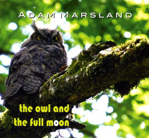 Marsland, Adam: The Owl and The Full Moon