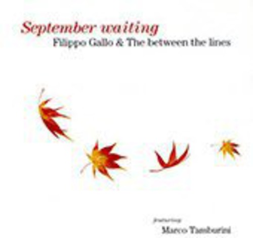 Gallo, Filippo & Between the Lines: September Waiting