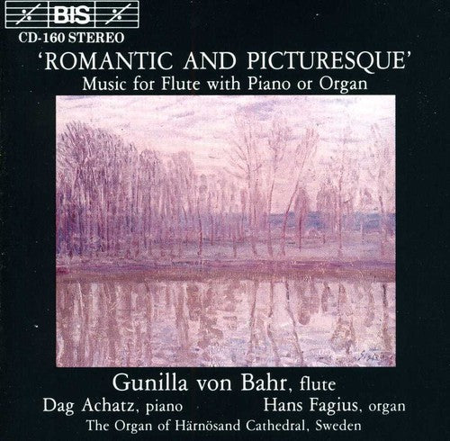 Romantic & Picturesque / Various: Romantic & Picturesque / Various