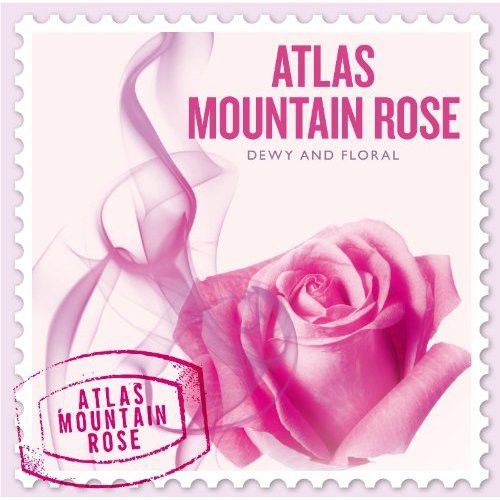 Nature Notes: Scents of the World-Atlas Mountain Rose