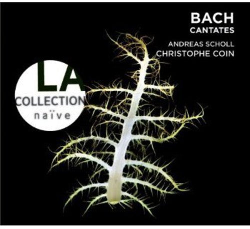 Bach / Schlick / Concerto Vocale De Leipzig / Coin: Cantatas BWV 49 115 180