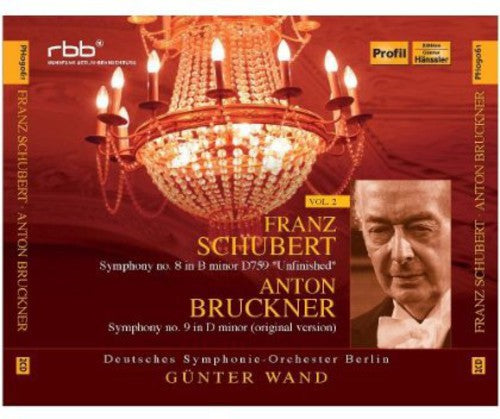 Schubert / Deutsches Symphonie Orchester Berlin: Schubert Bruckner 2: Symphony No 8 & Symphony No 9