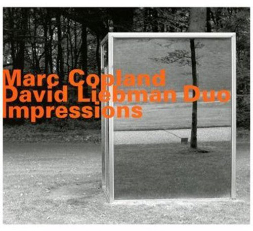 Copland, Marc / Liebman, David: Impressions