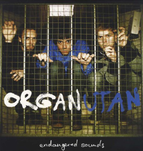 Organutan: Endangered Sounds