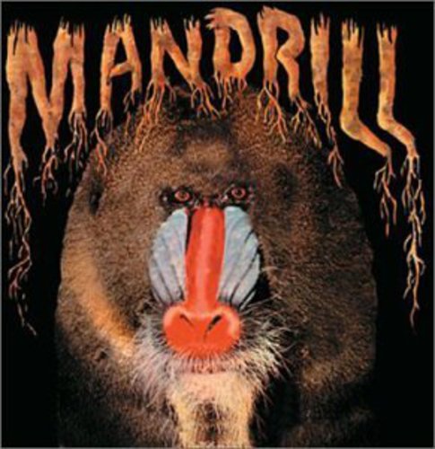 Mandrill: Mandrill