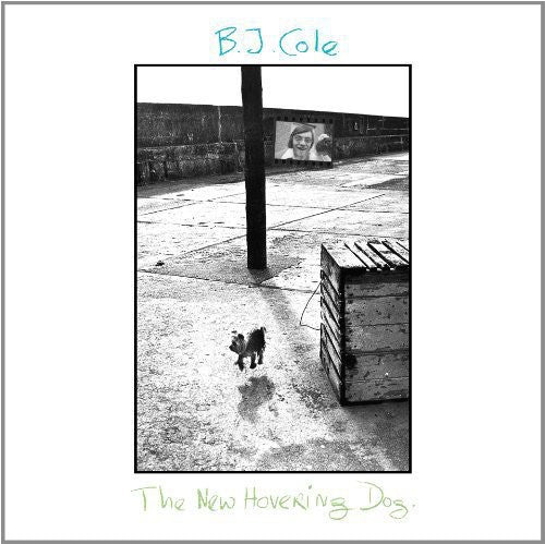 Bj Cole: New Hovering Dog