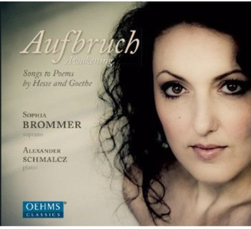 Schumann / Brommer / Schmalcz: Songs to Poems of Hesse & Goethe