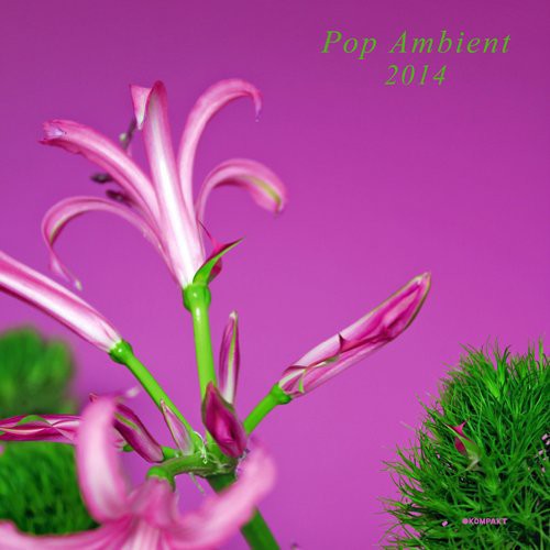 Pop Ambient 2014 / Various: Pop Ambient 2014 / Various