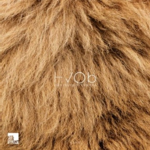 HVOB: Lion