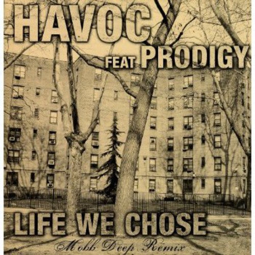 Havoc: Life We Chose