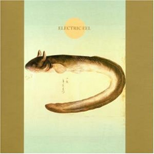 Koichi, Makigami: Electric Eel