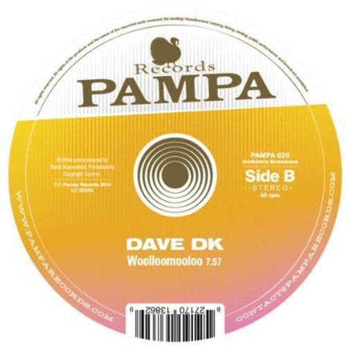 Ricoshei / Dave Dk: Perfect Like You / Woolloomooloo