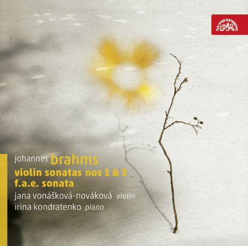 Brahms / Dietrich / Schumann / Vonaskova: Violin Sonatas