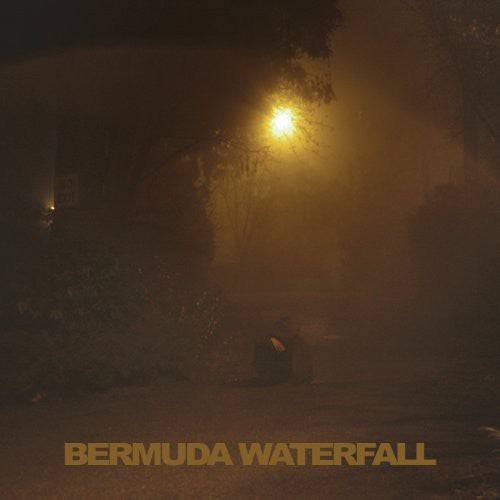 Savage, Sean Nicholas: Bermuda Waterfall