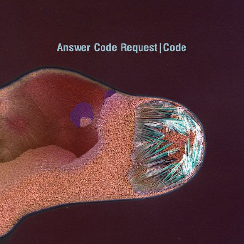 Answer Code Request: Code