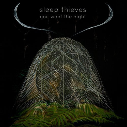 Sleep Thieves: You Want the Night