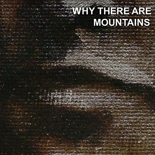 Cymbals Eat Guitars: Why There Are Mountains