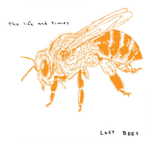 Life & Times: Lost Bees