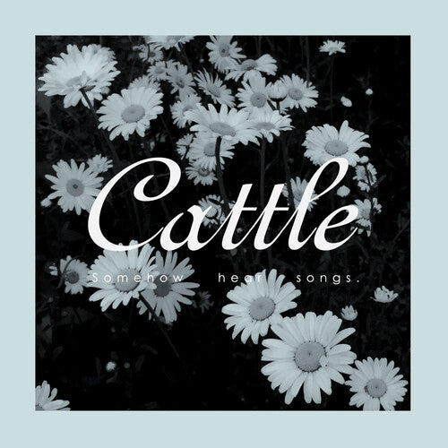 Cattle: Somehow Hear Songs