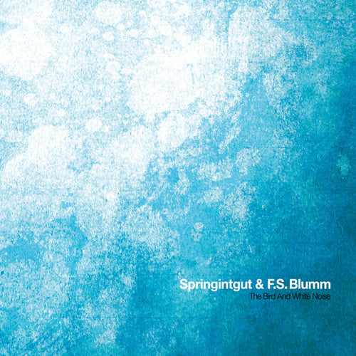 Springintgut / F.S. Blumm: Bird & White Noise