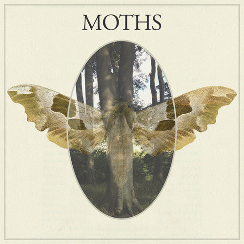 Moths: Moths