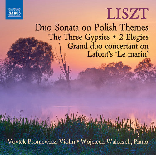 Liszt / Proniewicz / Waleczek: Music for Violin & Piano