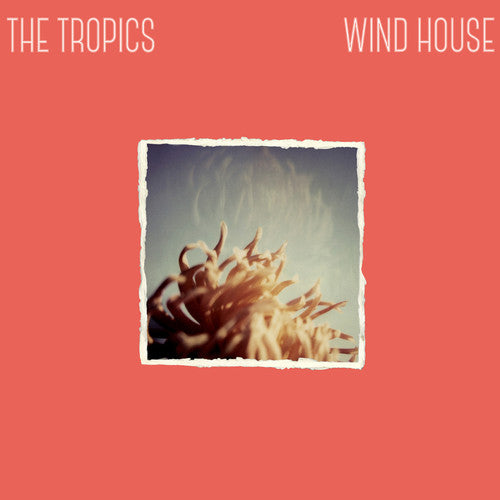 Tropics: Wind House